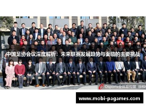 中国足协会议深度解析：未来联赛发展趋势与面临的主要挑战