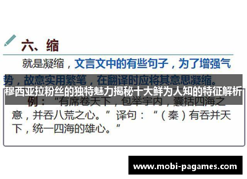 穆西亚拉粉丝的独特魅力揭秘十大鲜为人知的特征解析