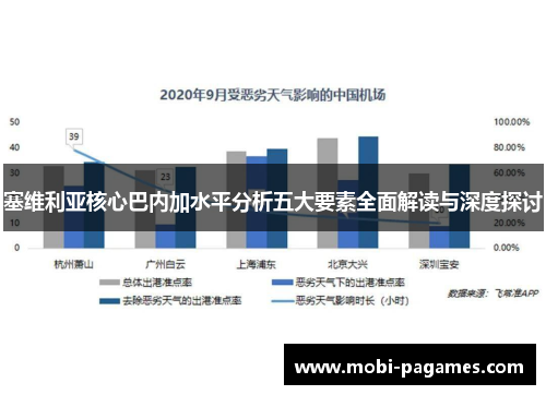 塞维利亚核心巴内加水平分析五大要素全面解读与深度探讨