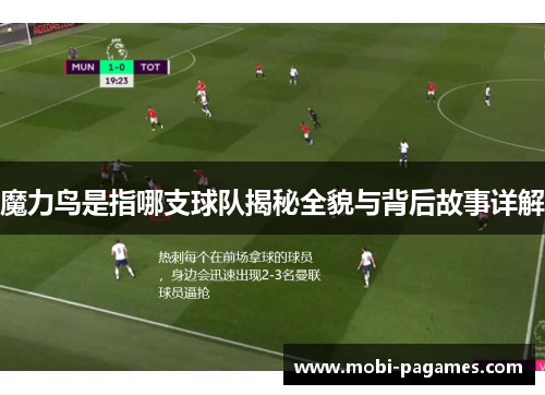魔力鸟是指哪支球队揭秘全貌与背后故事详解 魔力鸟是指哪支球队揭秘全貌与背后故事详解