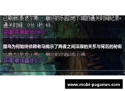 魔鸟为何始终依赖老马揭示了两者之间深厚的关系与背后的秘密